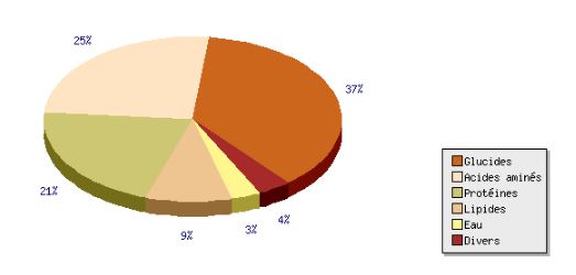 La composition du pollen