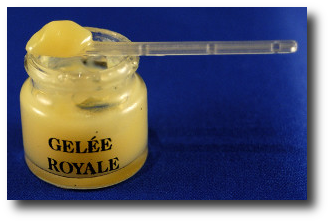 comment prendre gelee royale fraiche