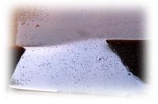 Engrais liquide