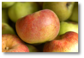 Une pomme Belle Fleur rouge