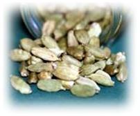 Cardamome