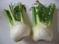 Un bulbe de fenouil Un bulbe de fenouil