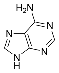 Ad�nine