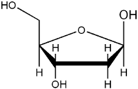 D�soxyribose