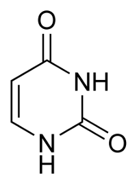 Uracile