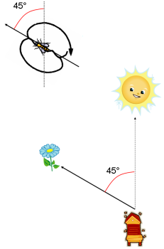La danse oscillante à 45° par rapport au soleil La danse oscillante à 45° par rapport au soleil