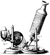 Le microscope de Hooke