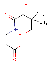 La vitamine B5