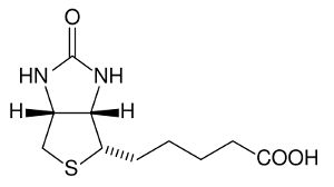 La vitamine B8